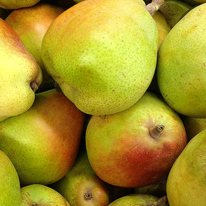 Poire "Précoce de Trévoux" - Racines nues